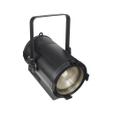 LOBO2175TW
